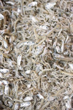 Close-up Texture of Dried Small Whitebait Fish