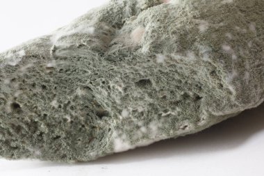 Ekmeğin üzerindeki kalıpların makro görünümü