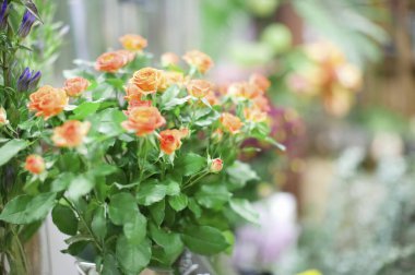 Vazoda güzel bir buket gül