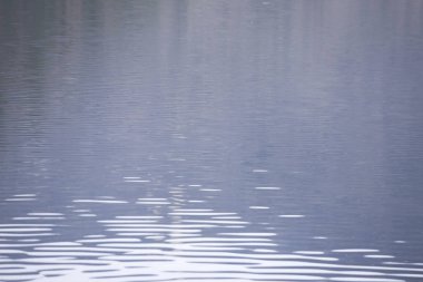 Su yüzeyi arka planı, doğal doku