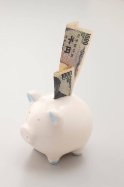 Beyaz arka planda para banknotları olan domuz kumbarasının yakın plan görüntüsü.          