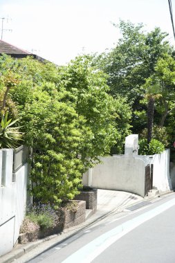 Yeşillik ağaçların ve çalıların yanında eğimli bir yerleşim yeri.