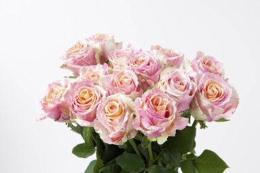 beyaz zemin üzerine pembe gül demet