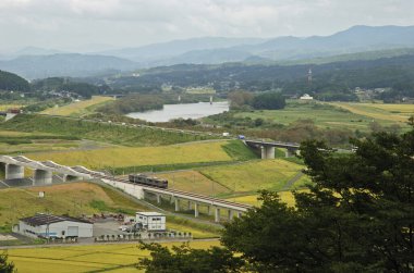 Kırsal alanda yeşil sarı tarlalarla hareket eden tren.