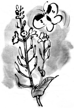 Çiçek ve kelebeğin siyah beyaz çizimi