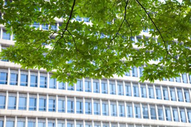 şehir arka planı, şehir konsepti 