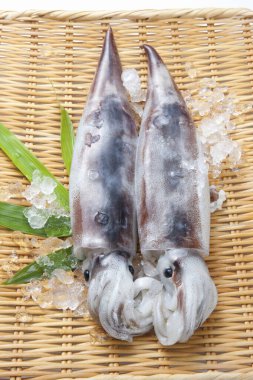 Bambu sepetinde çiğ taze mürekkep balıkları.