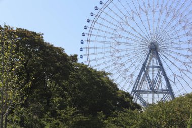 Yeşil yapraklı ağaçların üzerinde yükselen büyük dönme dolap.