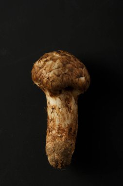 Siyah zemin üzerinde taze organik mantarın yakın plan görüntüsü              