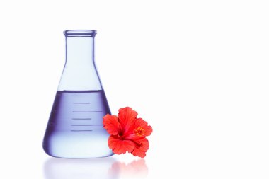 Beyaz arkaplanda kırmızı çiçekli matara.