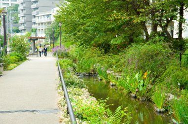 Japon bahçesi. Setagaya Parkı