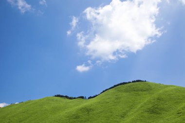 Mavi gökyüzü arka plan ile yeşil alan 