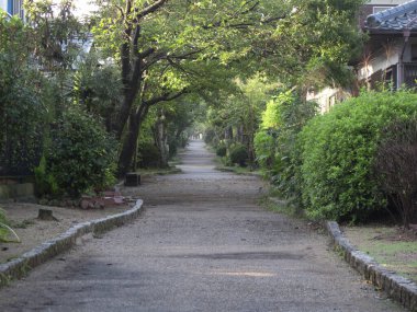 Şehrin güzel manzarası. 