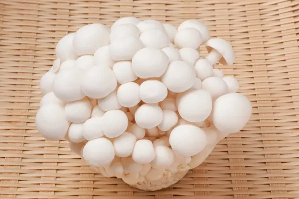 柳条背景下新鲜的白色蘑菇的特写 — 图库照片