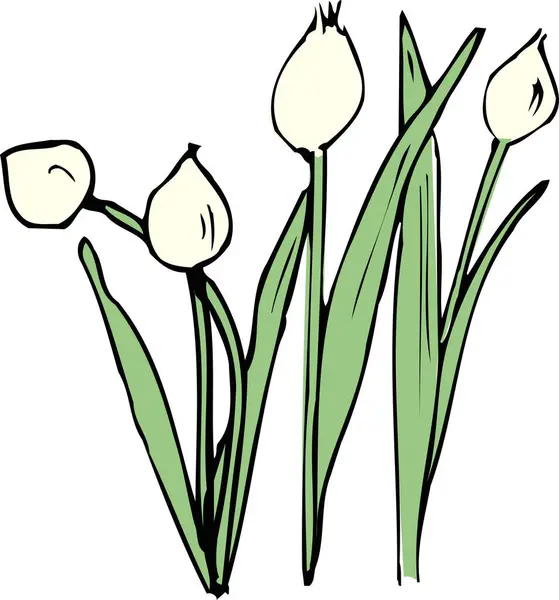 Ručně Kreslené Květiny Izolovaných Bílém Pozadí — Stock fotografie
