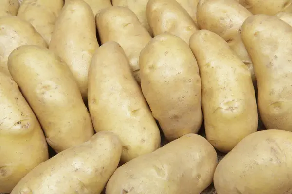 Fresh Organic Potatoes Market — Stock Photo, Image