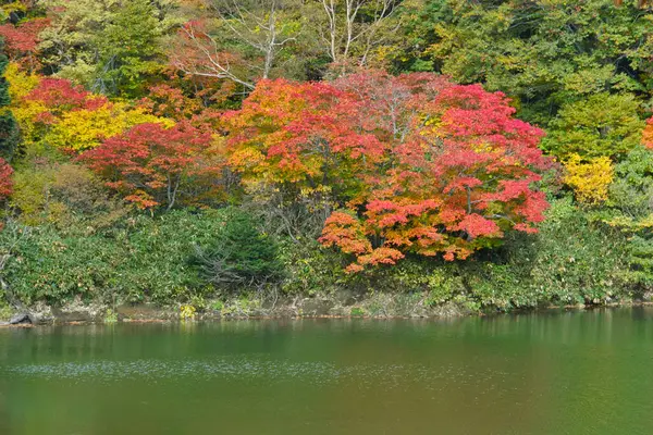 Осенние Цвета Озере — стоковое фото