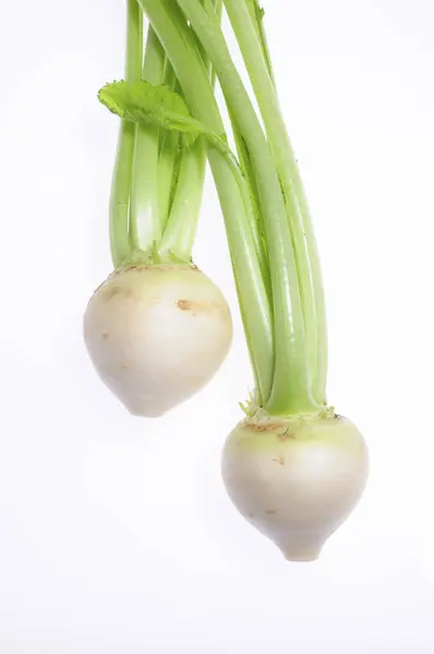 Japanska Grönsaker Kabu Bakgrund Närbild — Stockfoto