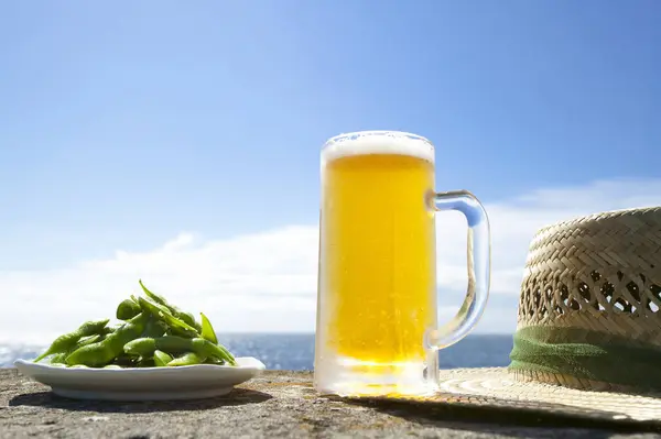 グリーンピースと海岸の背景にわら帽子をかぶったビール — ストック写真