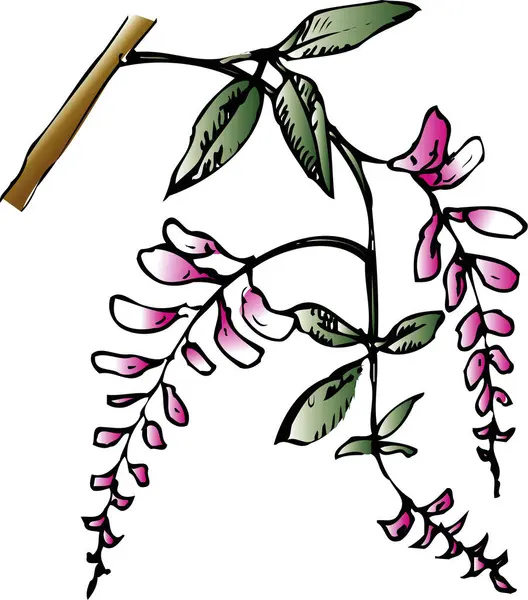 Beyaz Arka Planda Yeşil Bitki Çiçeğinin Yapımı Çizimi — Stok fotoğraf