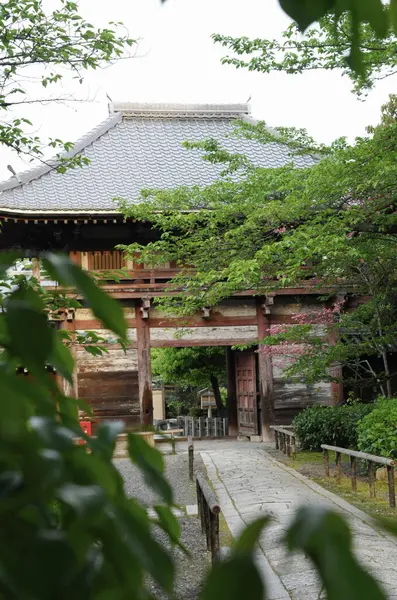 Plan Panoramique Belle Architecture Temple Japonais Antique — Photo