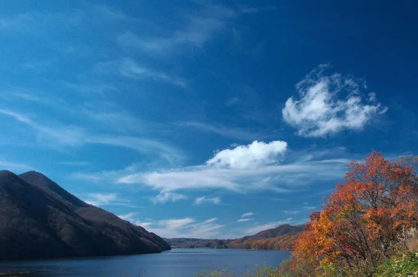 Hojas Coloridas Otoño Lago Con Fondo Azul Cielo — Foto de Stock