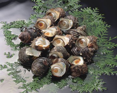 Masadaki taze salyangoz yemeklerini kapatın.