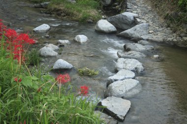 Dağlarda kızıl kayalar olan güzel dağ nehri.