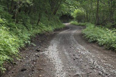 dağlarda ormana yolu
