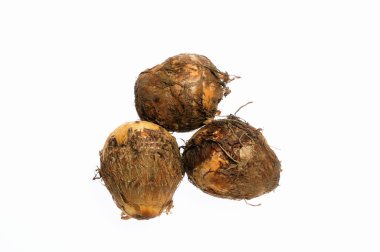 Beyaz arka planda üç taze taro kökü