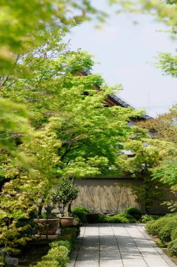 Geleneksel mimarisi ve güzel yeşil ağaçları olan Japon bahçesi.