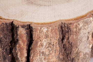 Ahşap günlük beyaz arkaplanda izole edildi, kapat