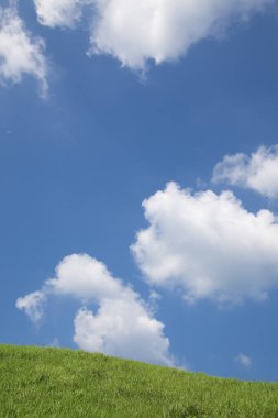 Yaz mevsiminde bulutlu mavi gökyüzüne karşı yeşil tarla