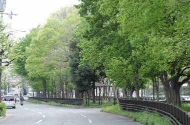 Tokyo yollarında kentsel yaşam manzarası.