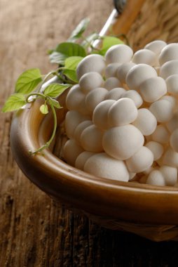 Arka plandaki masada bir kase beyaz mantar, kapat.