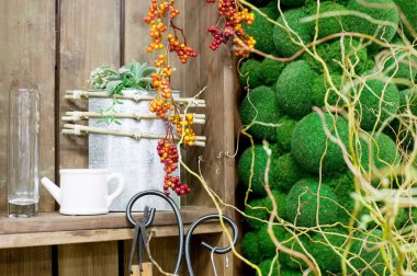 Bahçe aletleri ile ahşap rafta düzenlenmiş dekoratif bitkiler