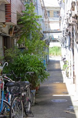Bisikletler ve yeşil bitkilerle dolu dar sokaklar