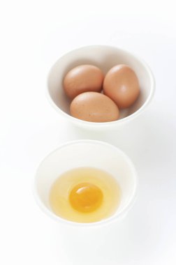 tavuk yumurta bir kapta