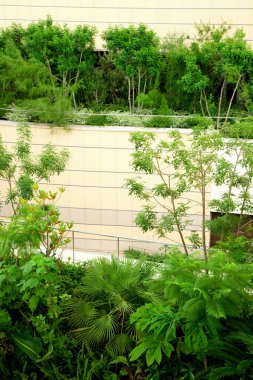 Bahçedeki yeşil bitkiler ve ağaçlar