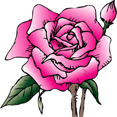 Beyaz arka plan üzerinde izole el çekilmiş çiçek 