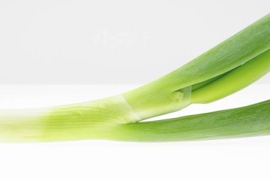 Beyaz arkaplanda taze yeşil soğan izole edildi.