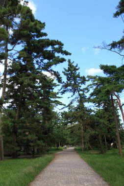 Yeşil parktan geçen yol. 