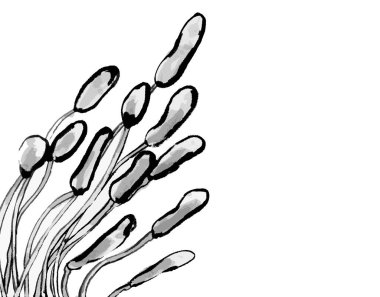 Geleneksel tarzdaki çiçek elementlerinin Japon mürekkep çizimi