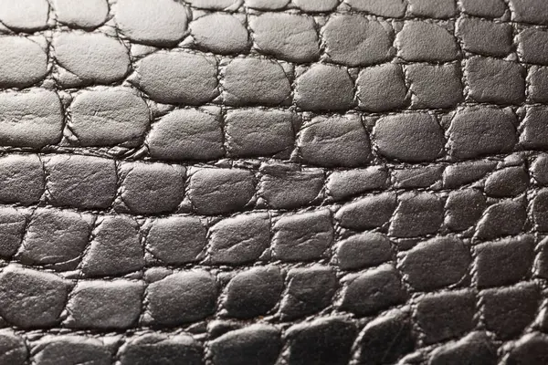 cilt siyah deri arka plan, kapat