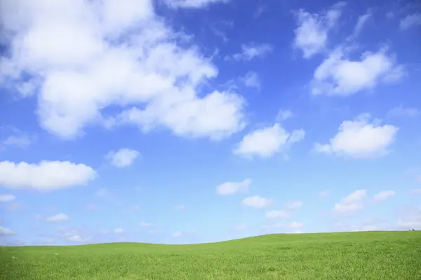Pradera Verano Verde Bajo Cielo Nublado Vista Diurna — Foto de Stock