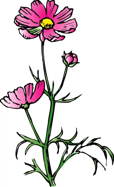 Handritad Blommor Isolerad Vit Bakgrund — Stockfoto