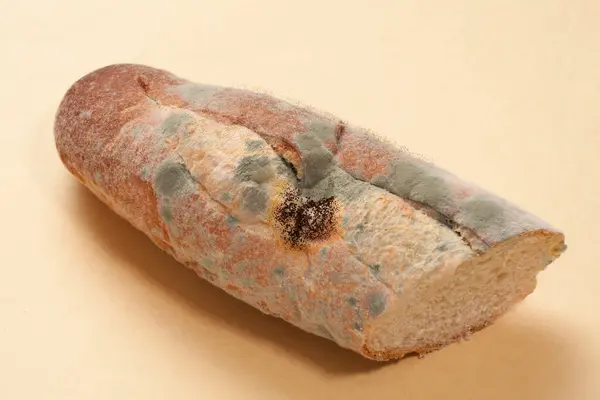 Çavdar Ekmeğindeki Eski Yeşil Küf — Stok fotoğraf