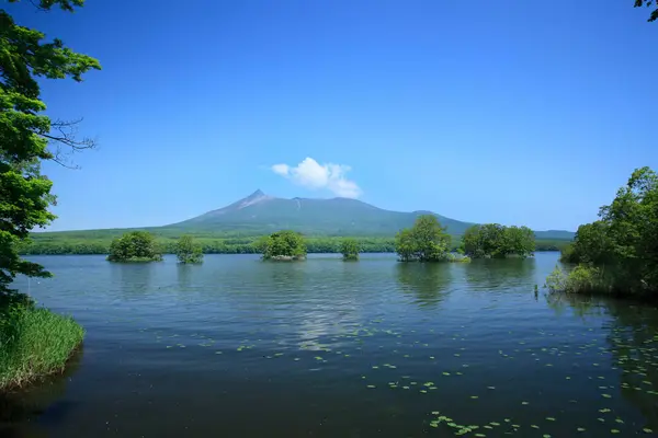 日中の富士山の美しい景色 — ストック写真