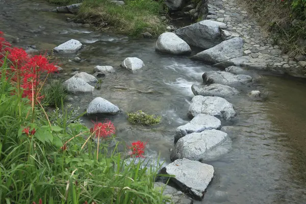 山の赤い岩が付いている美しい山の川 — ストック写真