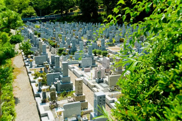 Japonya Yaz Mevsiminde Mezarlık Mezarlar — Stok fotoğraf